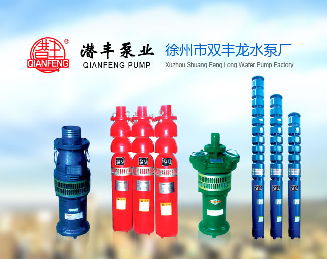 徐州市雙豐龍水泵廠專業(yè)供應噴...